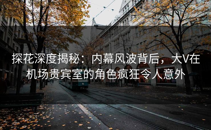 探花深度揭秘：内幕风波背后，大V在机场贵宾室的角色疯狂令人意外