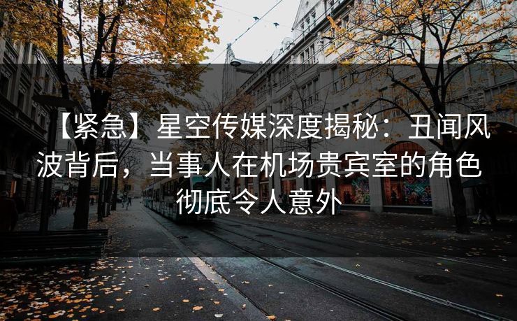 【紧急】星空传媒深度揭秘：丑闻风波背后，当事人在机场贵宾室的角色彻底令人意外
