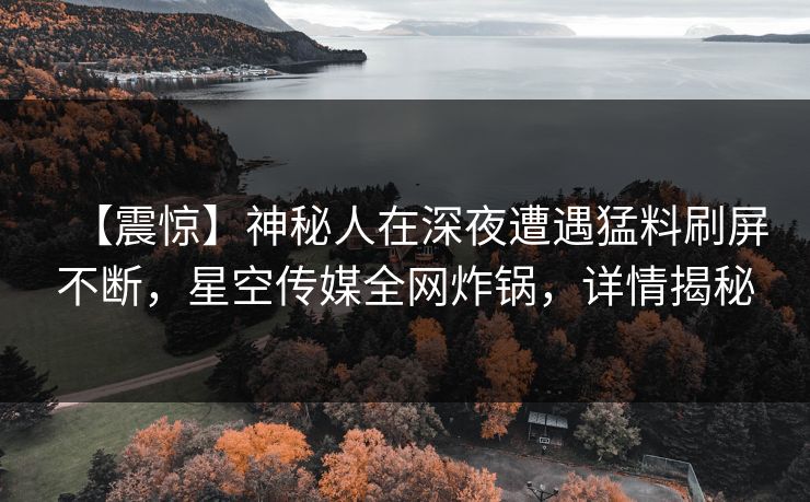 【震惊】神秘人在深夜遭遇猛料刷屏不断，星空传媒全网炸锅，详情揭秘