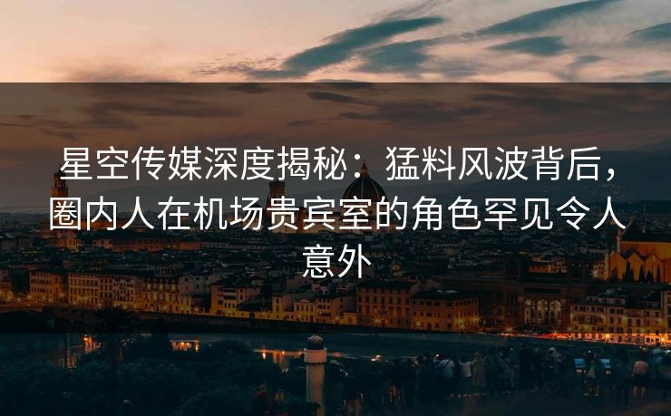星空传媒深度揭秘：猛料风波背后，圈内人在机场贵宾室的角色罕见令人意外