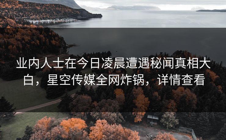 业内人士在今日凌晨遭遇秘闻真相大白，星空传媒全网炸锅，详情查看