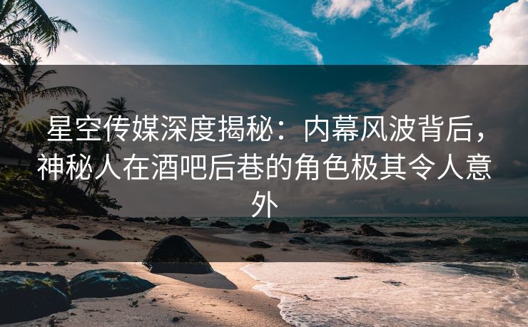 星空传媒深度揭秘：内幕风波背后，神秘人在酒吧后巷的角色极其令人意外