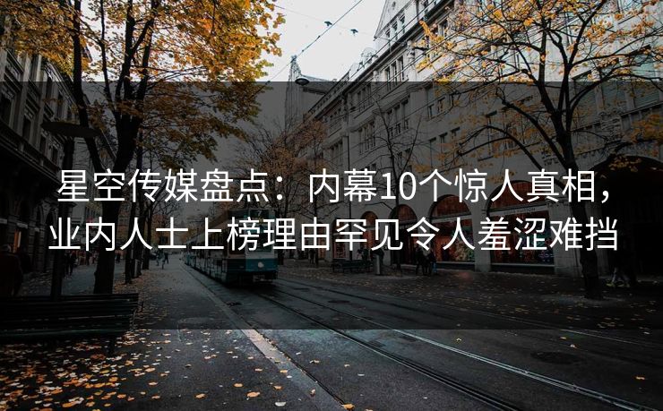 星空传媒盘点：内幕10个惊人真相，业内人士上榜理由罕见令人羞涩难挡