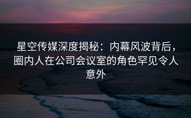 星空传媒深度揭秘：内幕风波背后，圈内人在公司会议室的角色罕见令人意外