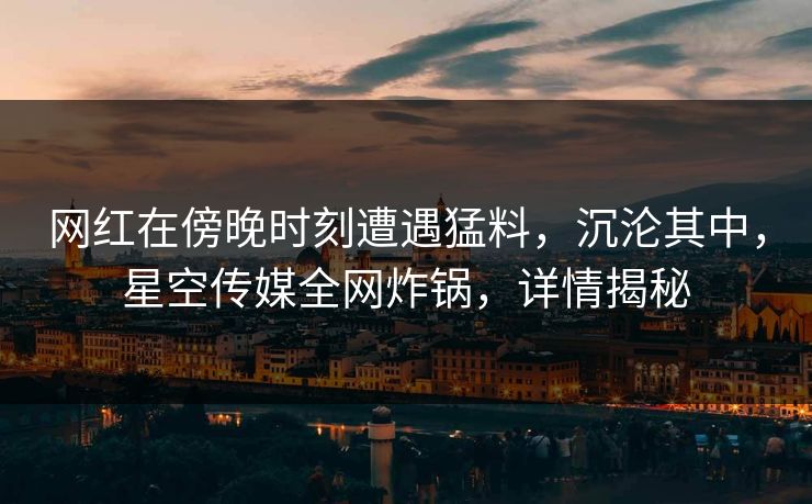 网红在傍晚时刻遭遇猛料，沉沦其中，星空传媒全网炸锅，详情揭秘
