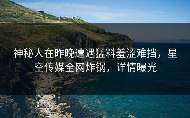 神秘人在昨晚遭遇猛料羞涩难挡，星空传媒全网炸锅，详情曝光