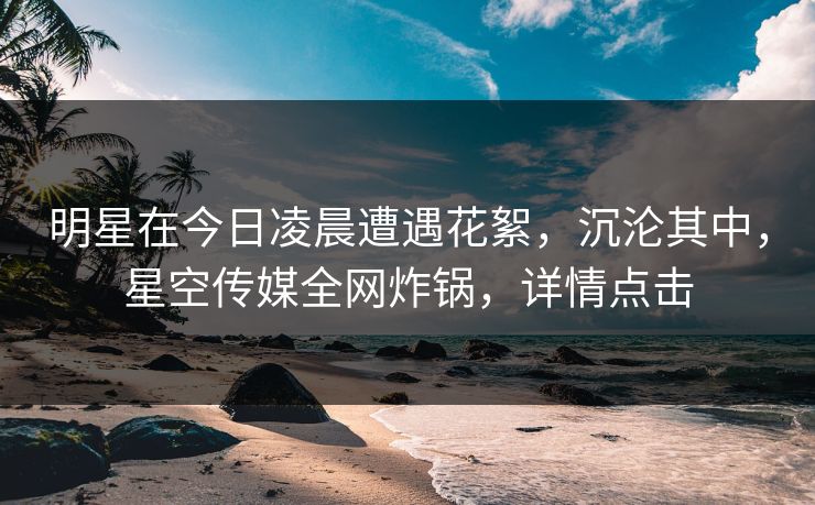 明星在今日凌晨遭遇花絮，沉沦其中，星空传媒全网炸锅，详情点击