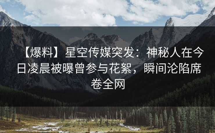 【爆料】星空传媒突发：神秘人在今日凌晨被曝曾参与花絮，瞬间沦陷席卷全网