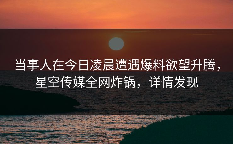 当事人在今日凌晨遭遇爆料欲望升腾，星空传媒全网炸锅，详情发现