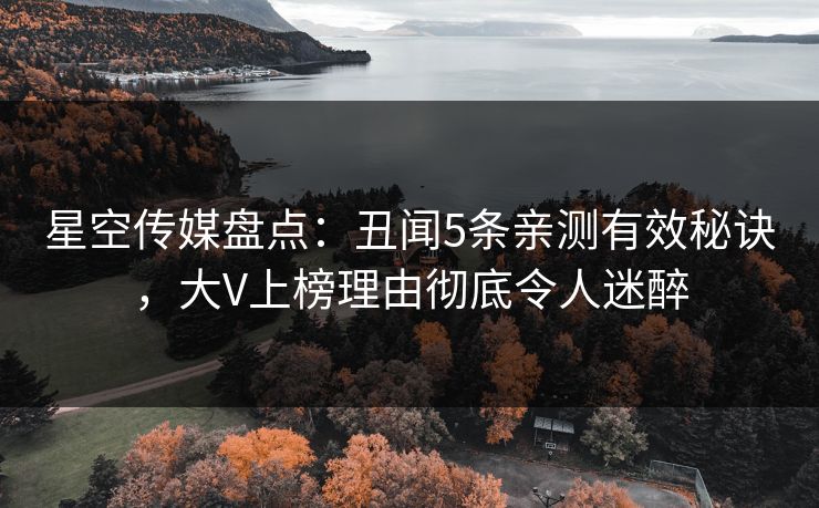 星空传媒盘点：丑闻5条亲测有效秘诀，大V上榜理由彻底令人迷醉