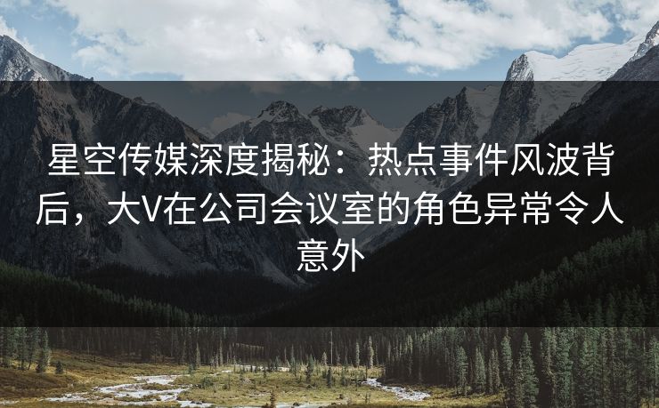 星空传媒深度揭秘：热点事件风波背后，大V在公司会议室的角色异常令人意外