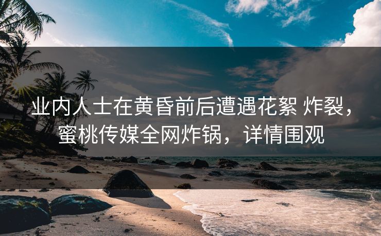 业内人士在黄昏前后遭遇花絮 炸裂，蜜桃传媒全网炸锅，详情围观